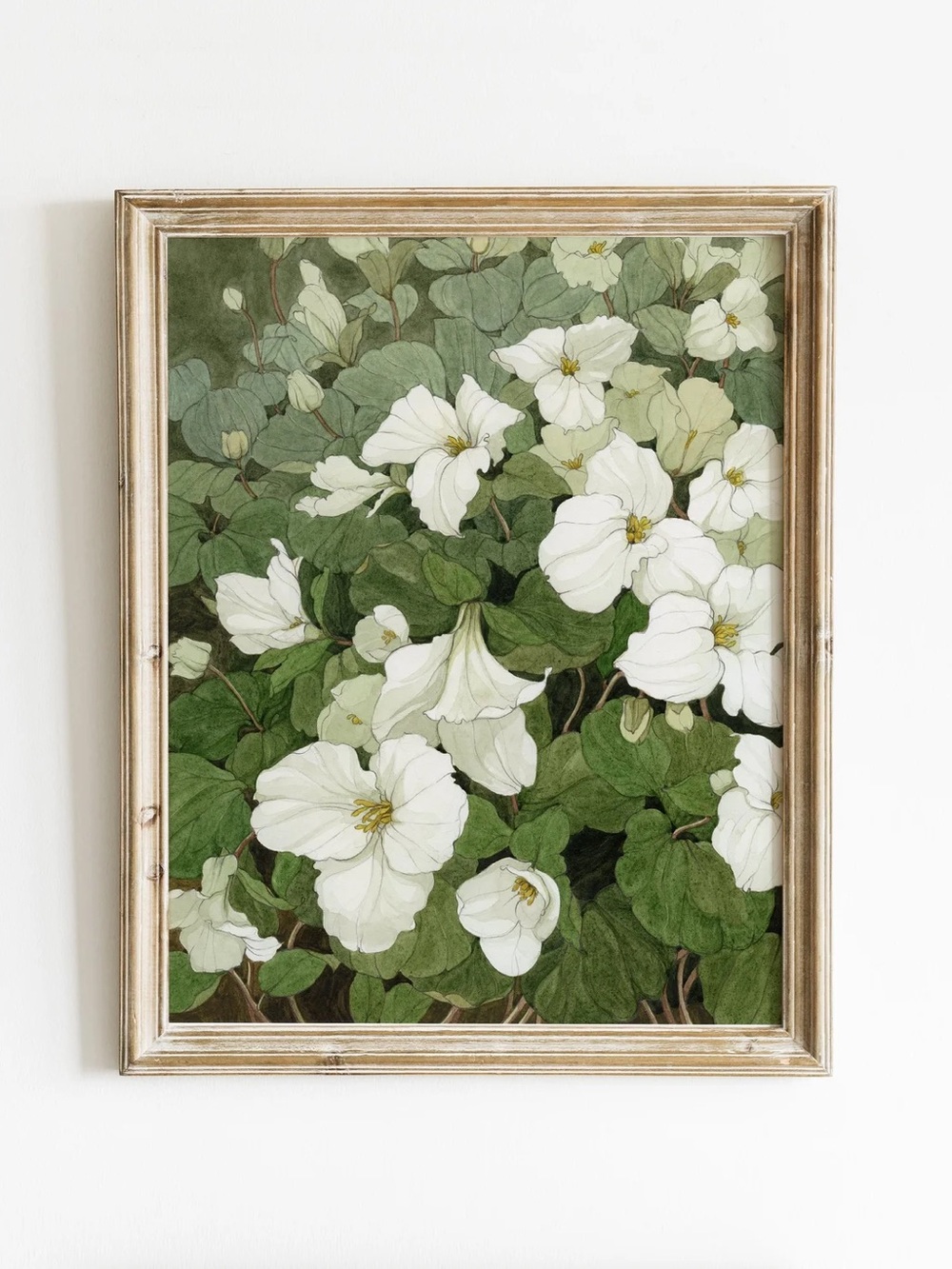 Carleigh Courey Fine Art Calendar Print - “Trillium”